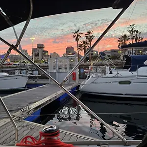 Brego, Velero Santa-Cruz de Ténérife
